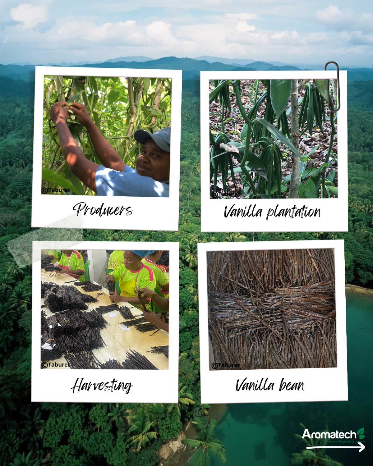 Aromatech unveils its own organic vanilla extracts!